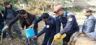 फलेवासमा ६ सय लिटर मदिरा नष्ट